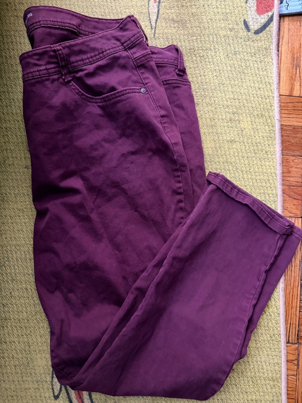 Style & Co. Plum Slim Leg Pants size 24w